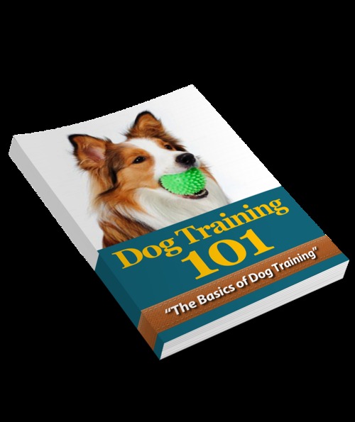 Product picture Dog Training Essentials - 5 Ebooks